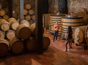 Ruta del Vino de Rueda