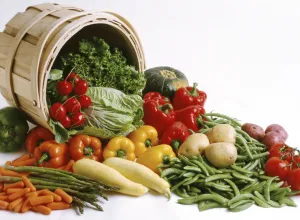 Productos ecologicos