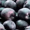 manzana negra