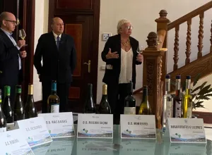 IX Ourense Vinis Terrae
