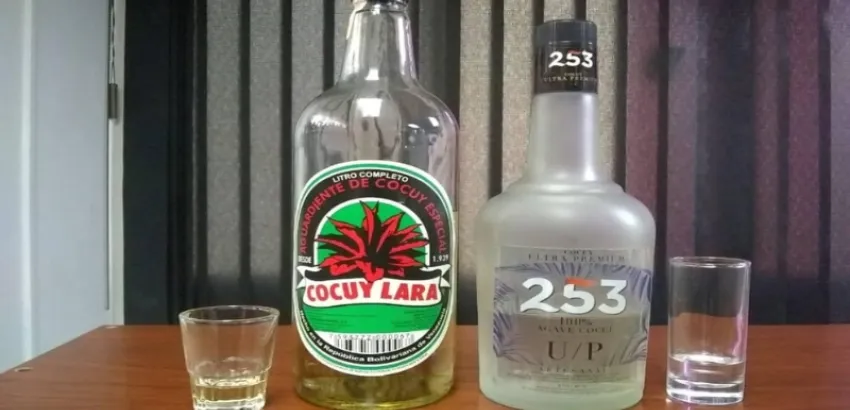 licor-cocuy-igp