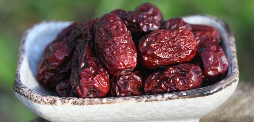 Dátil, fruto exótico Dátil, fruto exótico