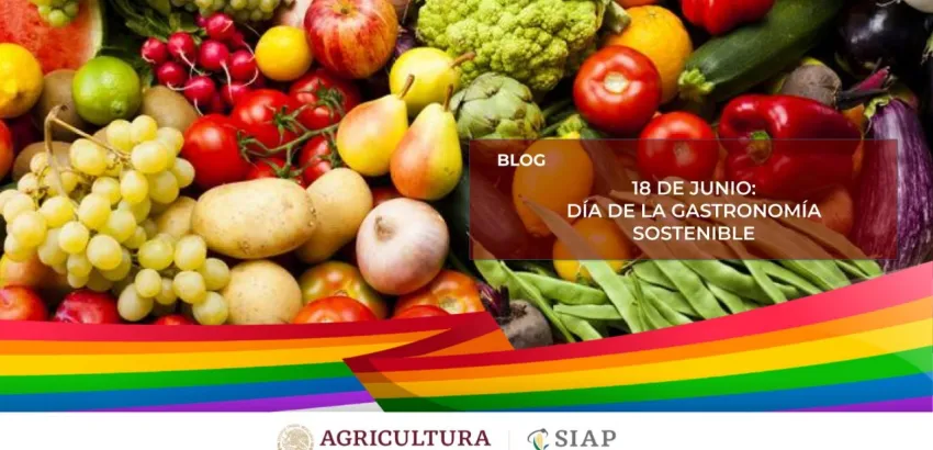 Gastronomía sostenible