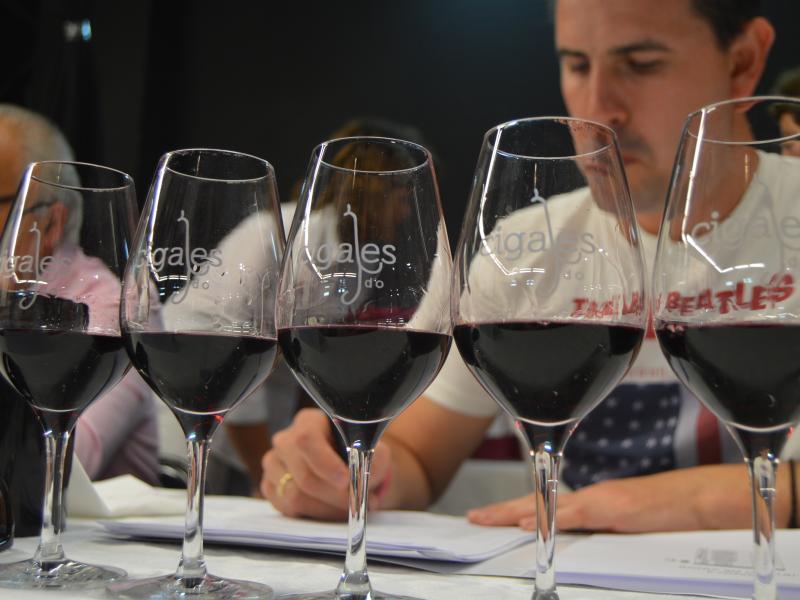 Denominación de Origen Cigales-presentación-cata
