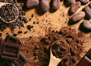 chocolates del bienestar