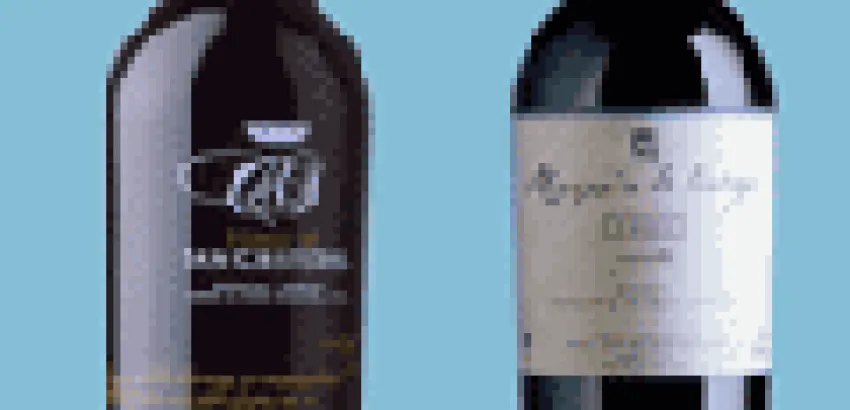 Grupo Vinícola Marqués de Vargas presenta nuevos vinos Grupo Vinícola Marqués de Vargas presenta nuevos vinos