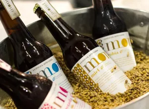 Cervezas-mond
