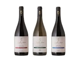 Carlos Moro lanza sus Vinos de Finca