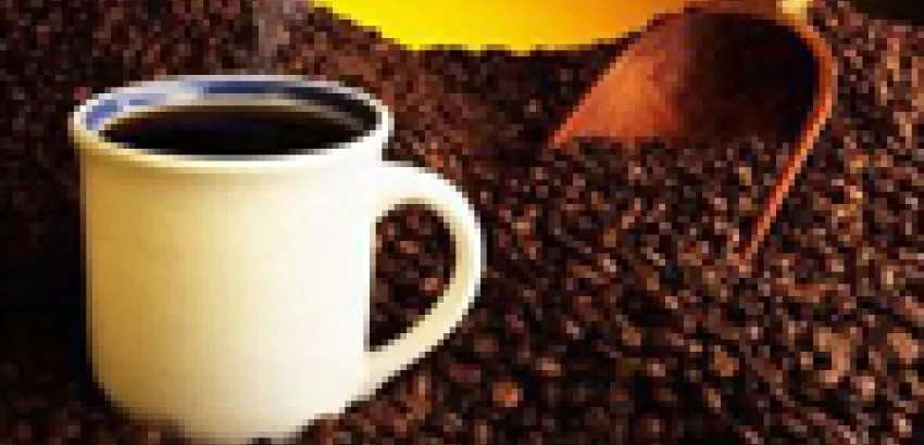 Curiosidades sobre el café