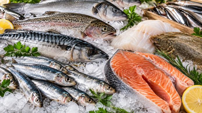 Variedad de pescados frescos sobre hielo, entre ellos salmón, sardinas, caballa y trucha.