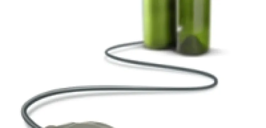 Exhortan a asegurar la protección de los vinos con denominación de origen en Internet Exhortan a asegurar la protección de los vinos con denominación de origen en Internet