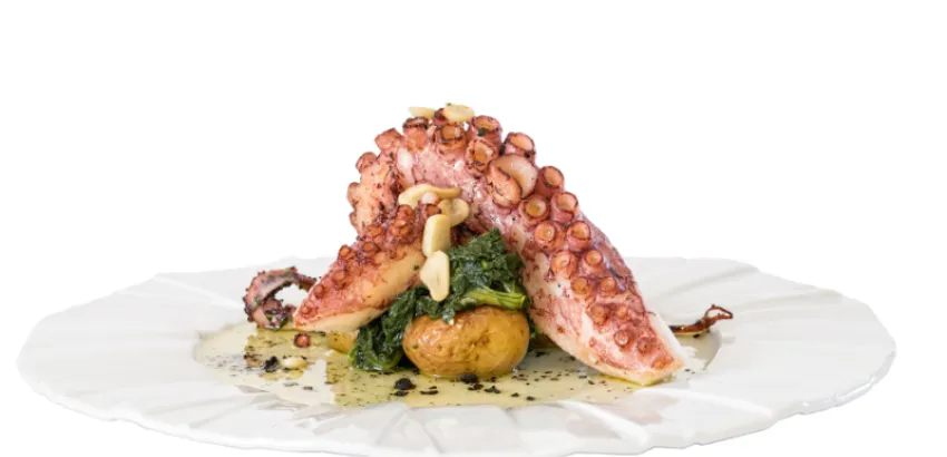 Cocina del mar Iberoamericana pulpo cocina del mar