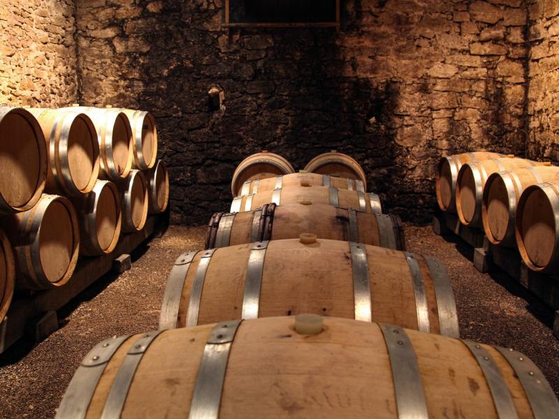 bodegas