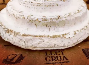 Queso español