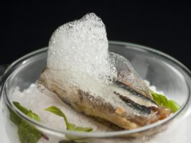 Villa-Lucía en la gran final de la III semana grande del Pintxo de Álava