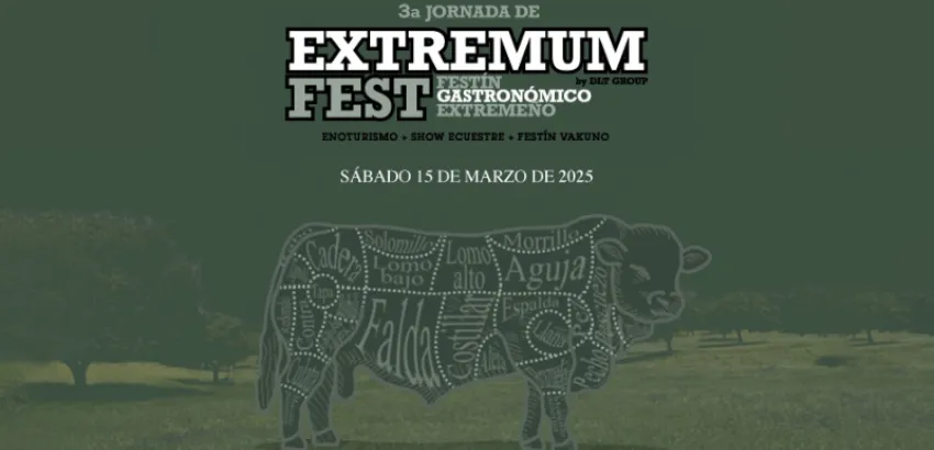 Extremum Fest