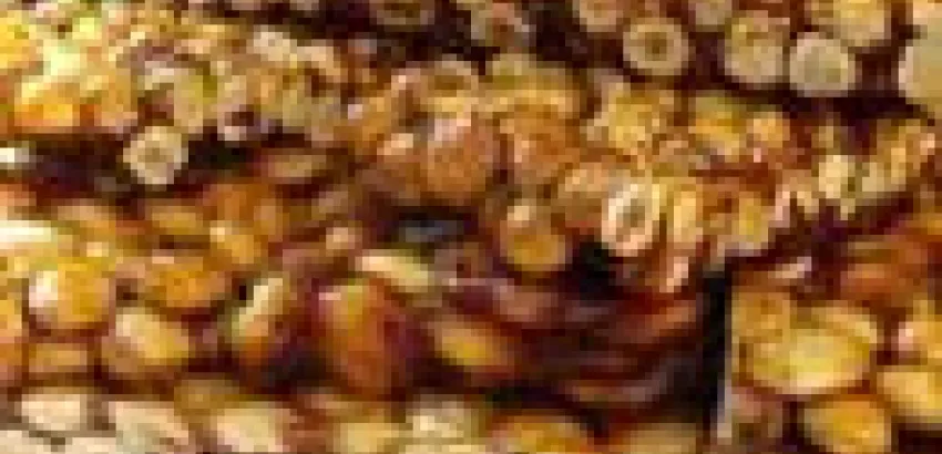 Turrón de Guirlache Turrón de Guirlache