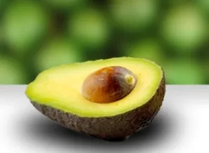 Alimentos de ida y vuelta