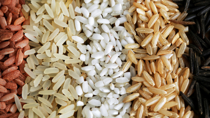 tipos de arroz