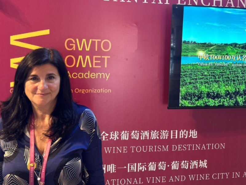 Gabriela Testa, presidenta del Ente Mendoza Turismo (EMETUR)