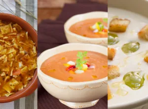 Tipos de gazpacho español