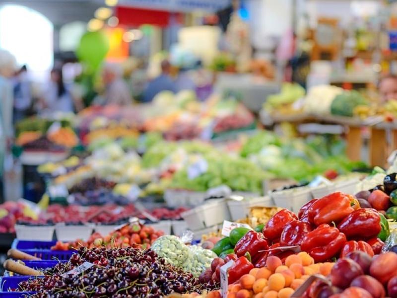 alimentos