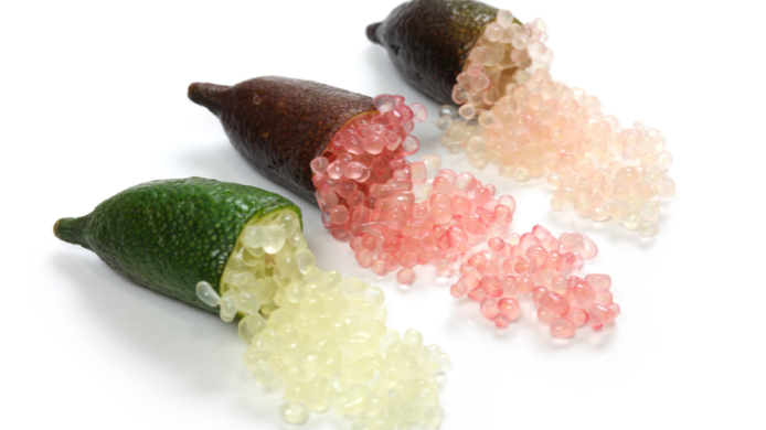 Variedades de finger lime