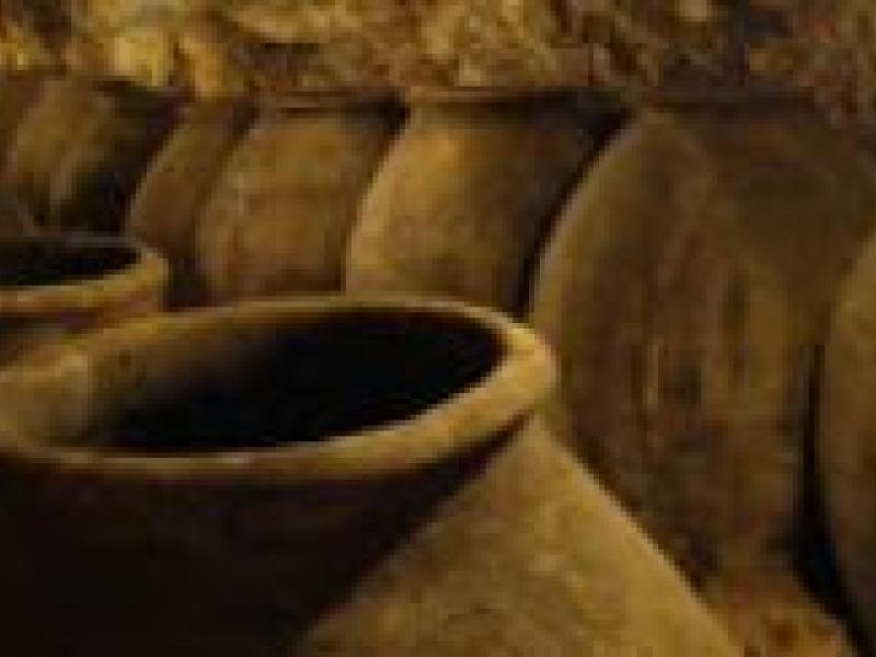 Los tours de bodegas de Gourmet Madrid entre los 10 mejores de Europa