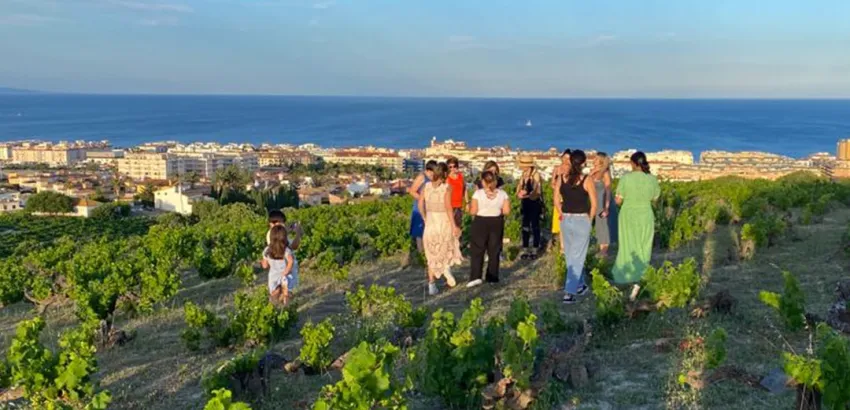 Rutas del Vino Rutas del Vino