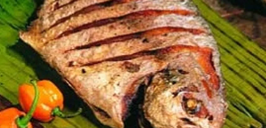 El pescado, útil en todas sus partes El pescado, útil en todas sus partes