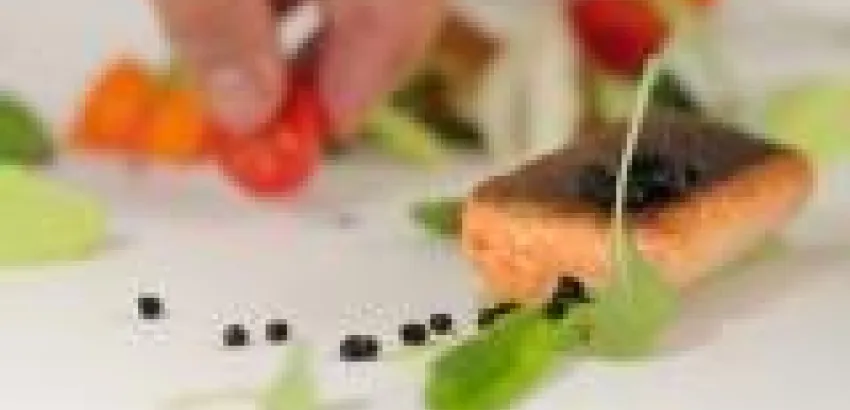 Programa General para gourmets Programa General para gourmets