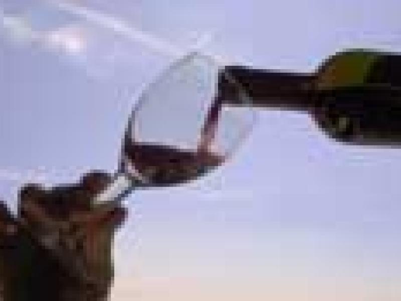 El vino y las vacaciones
