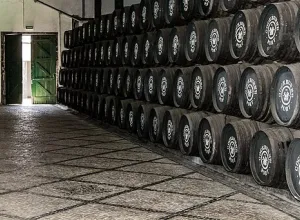 Bodega de vino oporto ( Créditos: Alberto de Francisco, CC BY 2.0, via Wikimedia Commons)