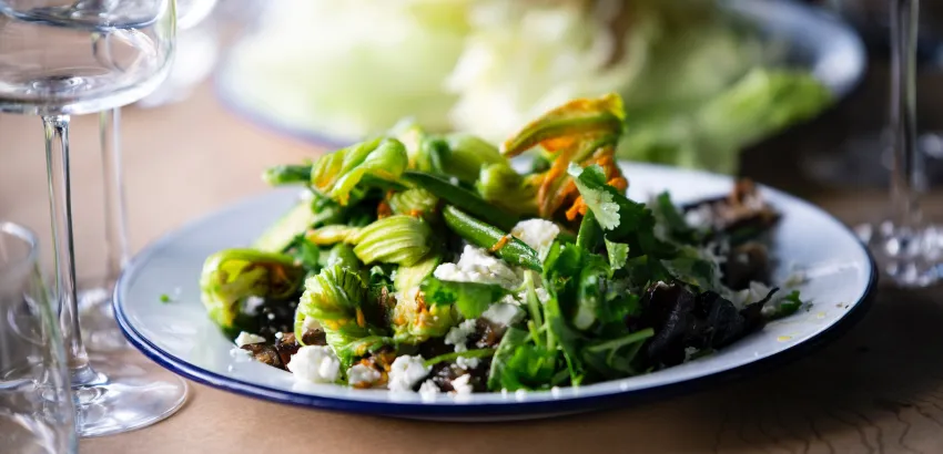 HIP-proteina-vegetal