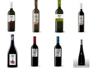 Ángel Santamaría, editor y P. Numbra, la familia de vinos de Bodegas Pagos de Leza 