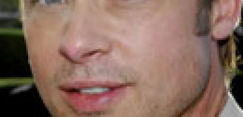 Brad Pitt podría fabricar su propio vino Brad Pitt podría fabricar su propio vino