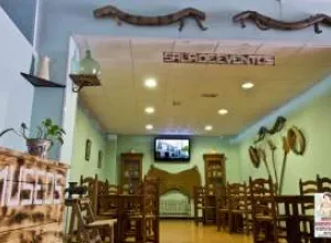  Museos del aguardiente anisado de Rute y España