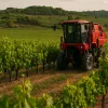 Penedès