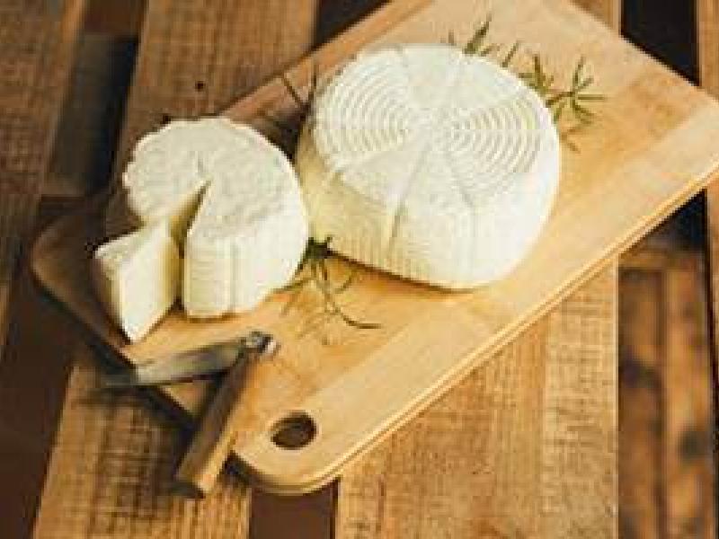 El queso fresco Praizal, mejor queso de la Feria de los Productos de León 2016