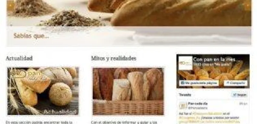 Nueva web de Pan Cada Día Nueva web de Pan Cada Día