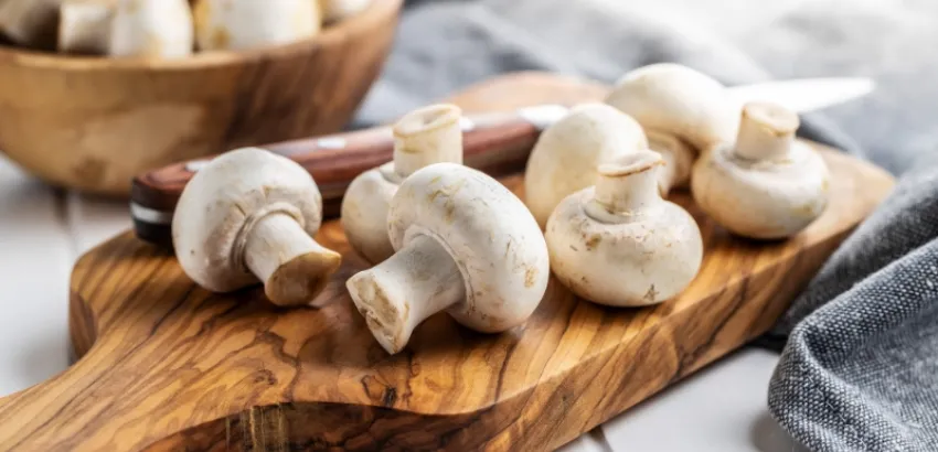 hongos comestibles