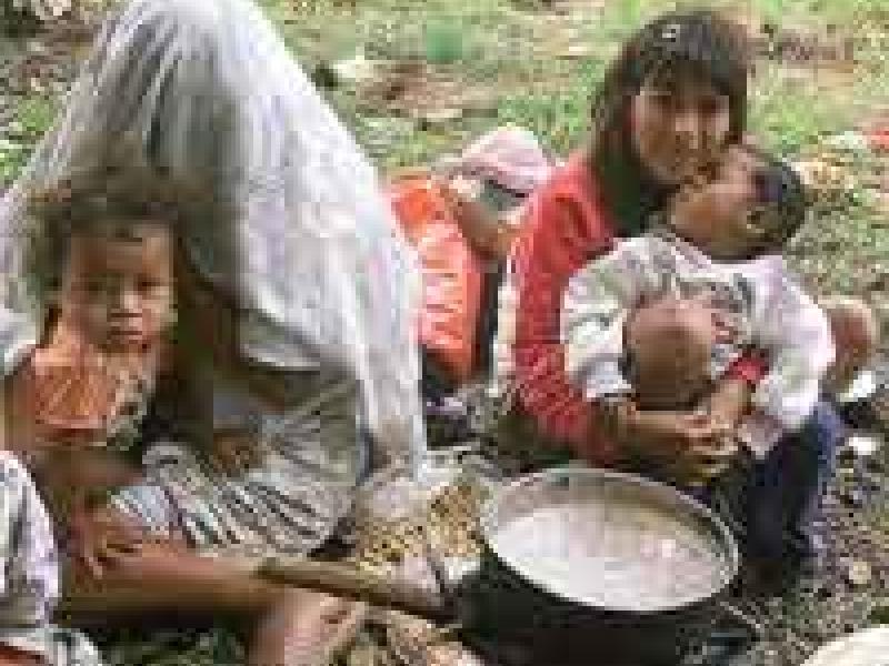 FAO urge cambiar patrones actuales de consumo de alimentos 