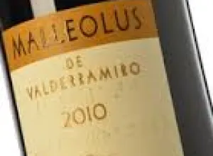 Malleolus de Sanchomartín 2010: 95 puntos y Gran Medalla de Oro en la Guía de Vinos Xtreme by akataVino