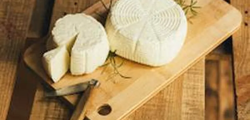 El queso fresco Praizal, mejor queso de la Feria de los Productos de León 2016 El queso fresco Praizal, mejor queso de la Feria de los Productos de León 2016
