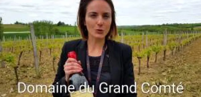 Gascuña, tierra de D’Artagnan, los Mosqueteros y del Armagnac Gascuña, tierra de D’Artagnan, los Mosqueteros y del Armagnac