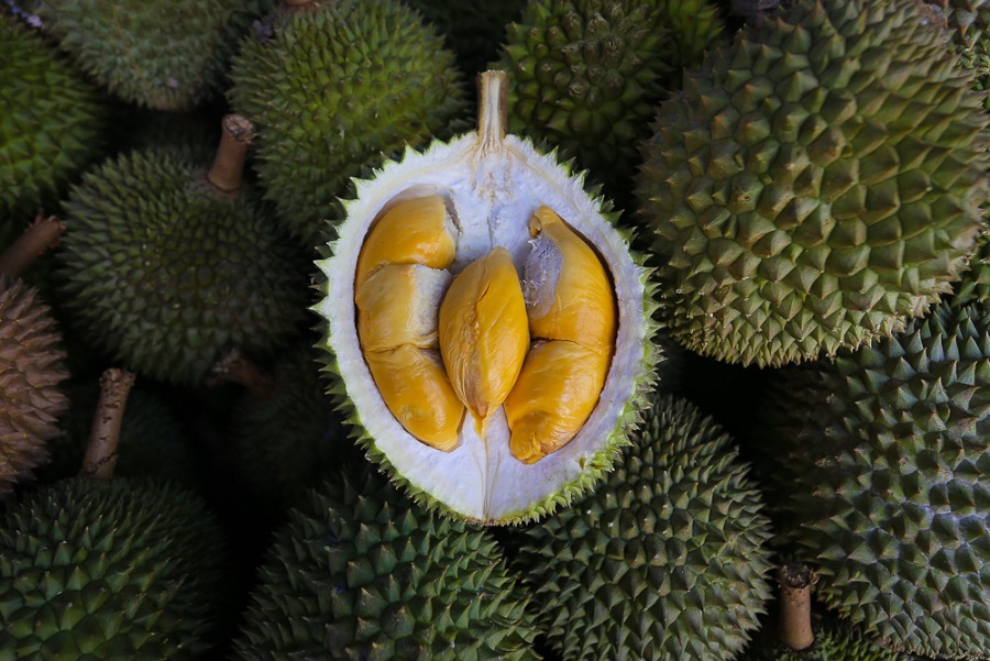 Durian