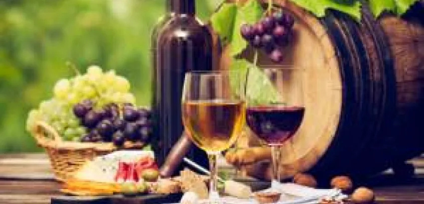 Siete conceptos básicos para andar por el mundo del vino Siete conceptos básicos para andar por el mundo del vino