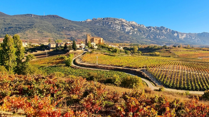 Viñedos de Rioja Alavesa en otoño con la Sierra de Toloño al fondo y un pequeño núcleo rural entre las vides.