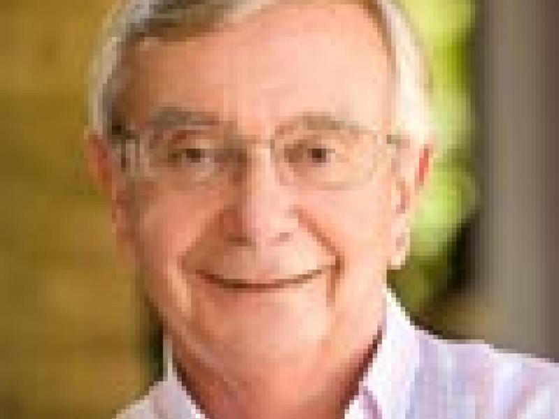 Rafael Ansón: La clave está en diversificar