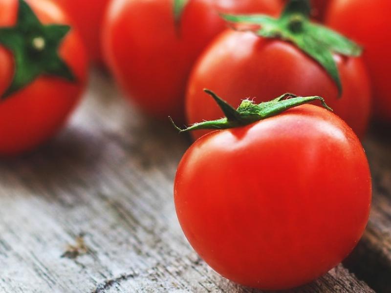 tomates